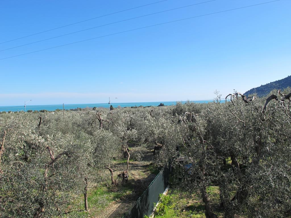 Tenuta Santa Maria Mattinata Room photo